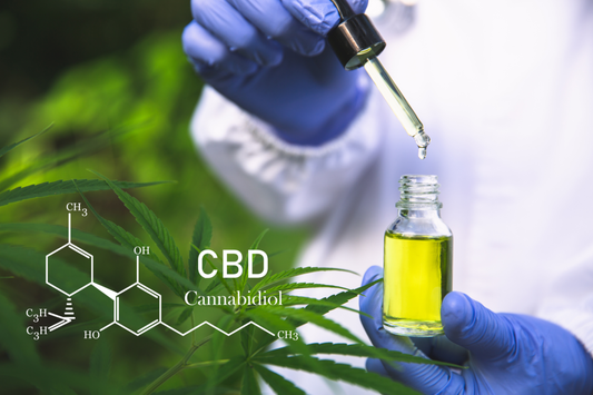 Exploring the Endocannabinoid System: Unraveling the Impact of CBD and THC on Our Physiological Functions