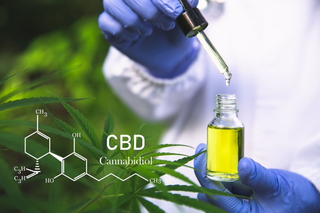 Inside the Endocannabinoid System: Understanding How CBD and THC Affect Our Bodies